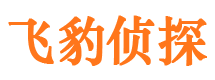 宜川商务调查